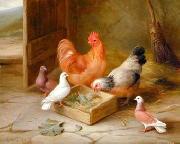 unknow artist Poultry 093 oil on canvas